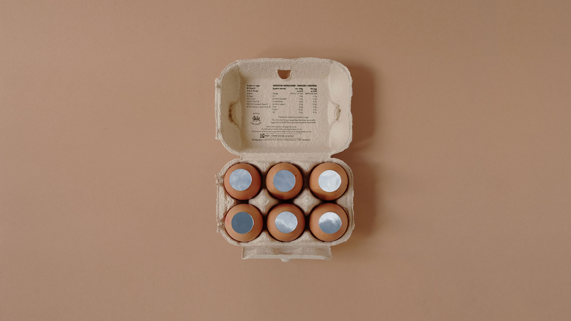 Still Life