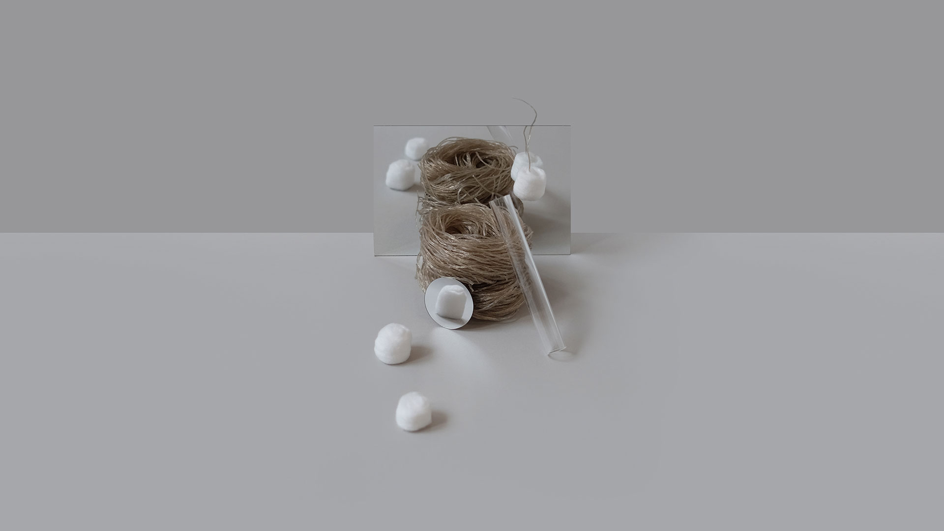 Still Life